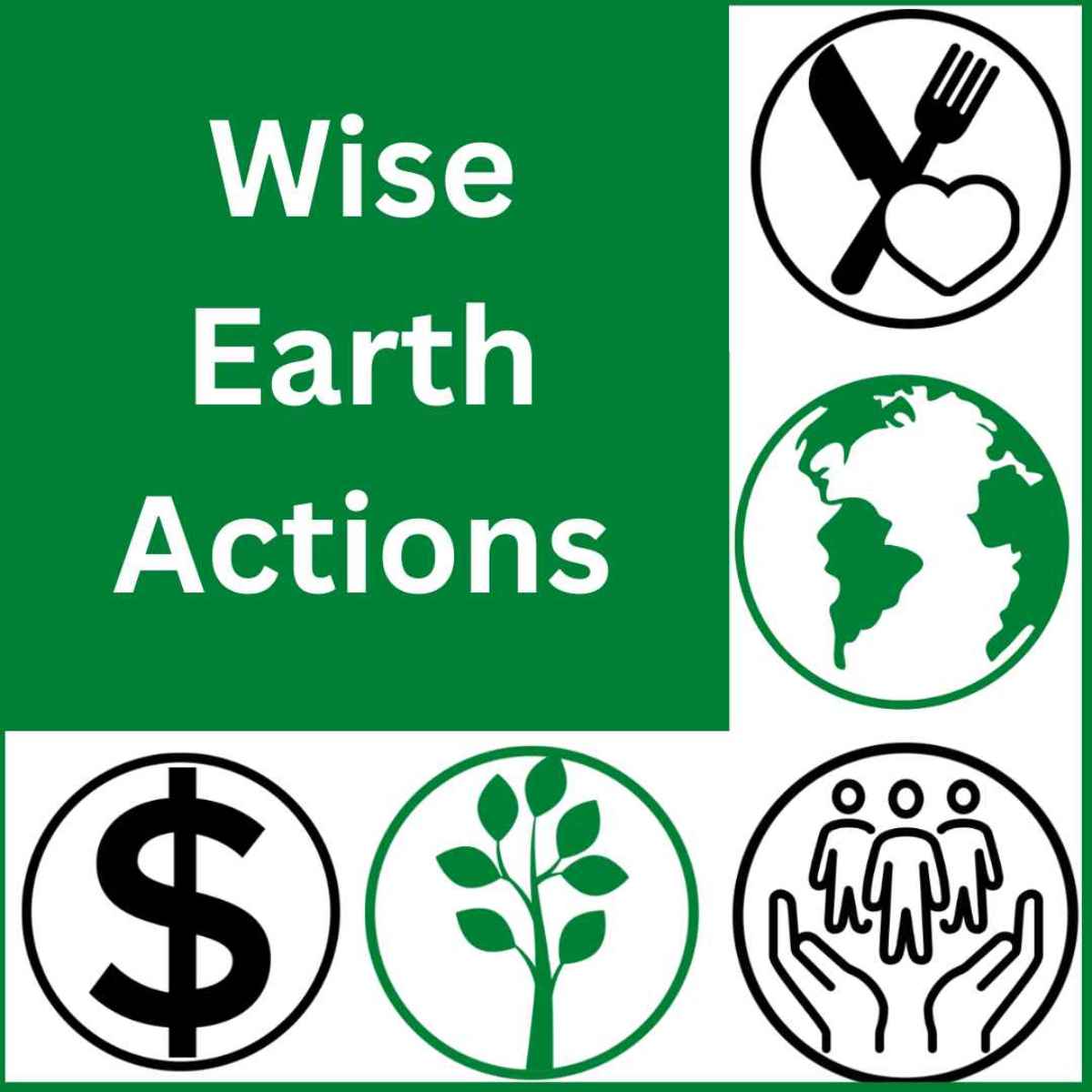 Wise Earth Actions title card