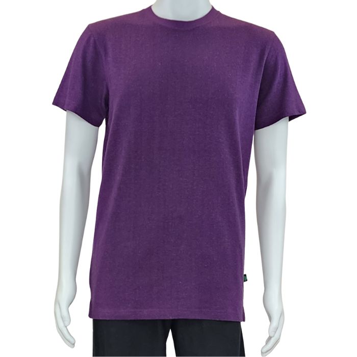 Charlie crew neck t-shirt plum purple front view of top on mannequin
