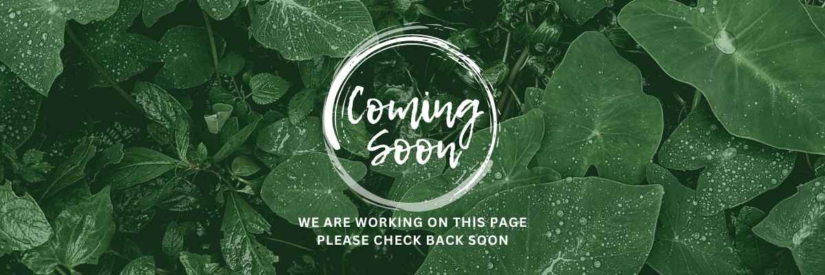 Coming Soon- we are working on this page please check back soon