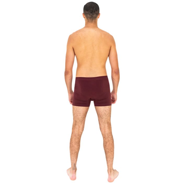 man wearing maroon red terrera boxer briefs back view set on a white background