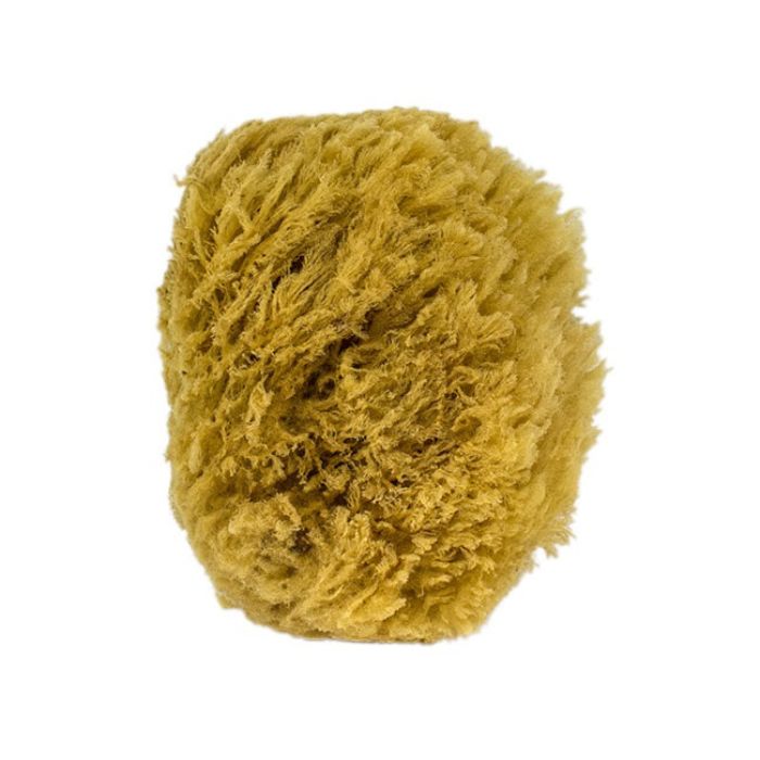 front view of the all natural sea sponge